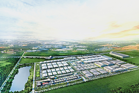 Máscara Co., Ltd de Yantai